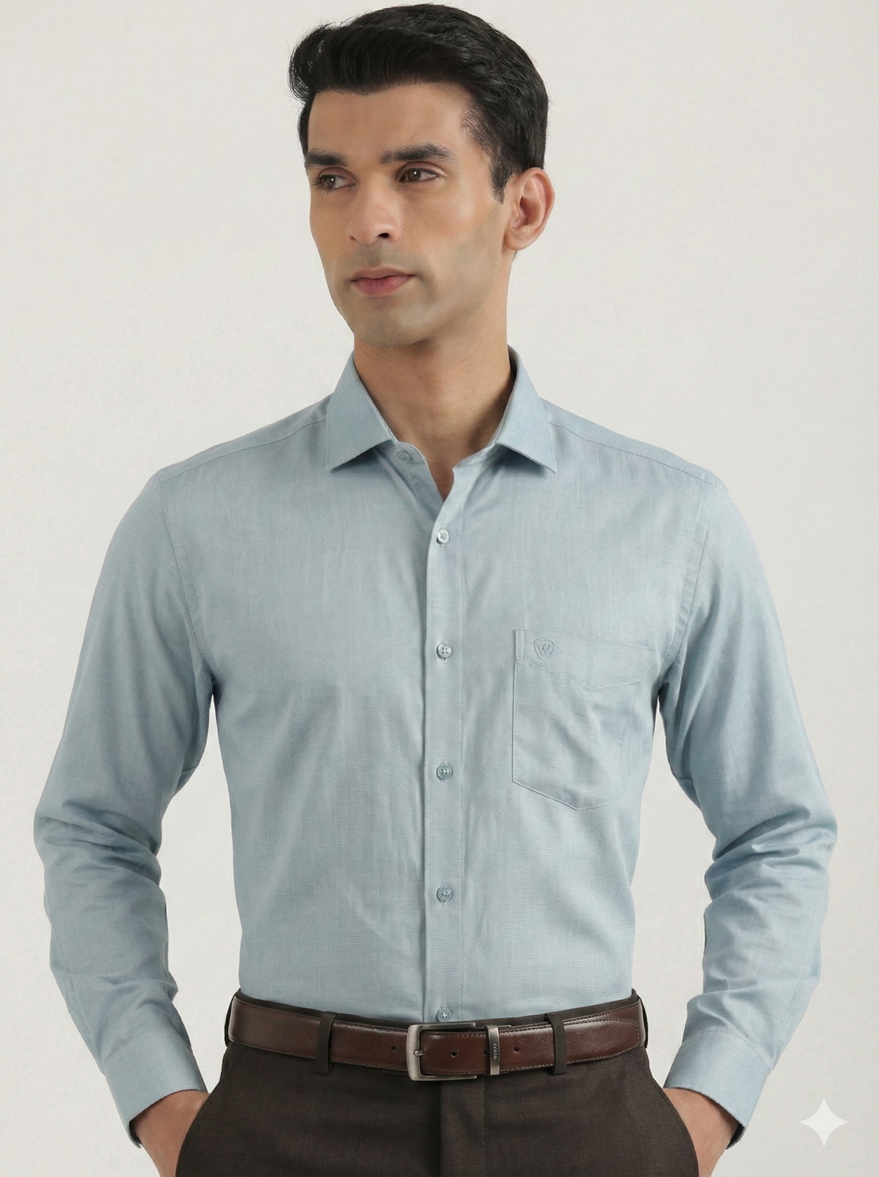 Premium Lustre Cotton Shirt
