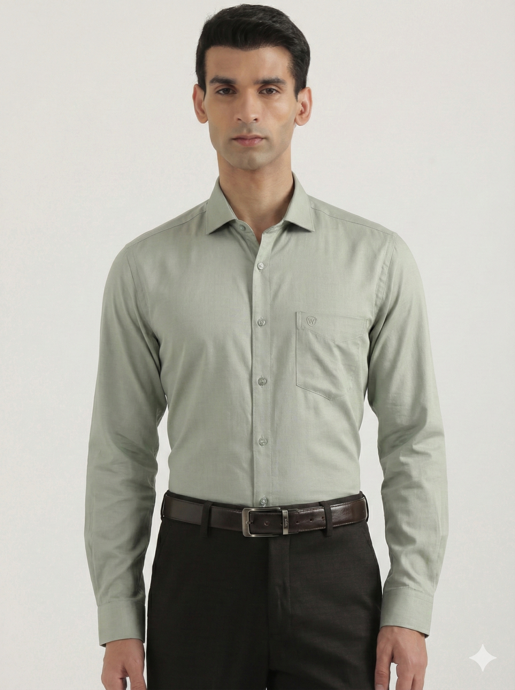 Premium Lustre Cotton Shirt